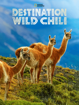 Destination Wild Chili