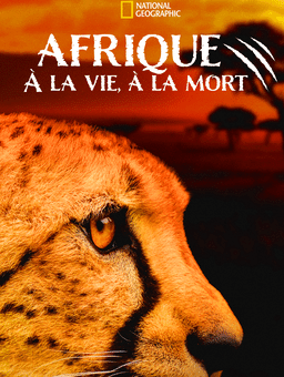 Afrique - À la vie, à la mort