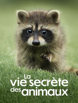 La vie secrète des animaux