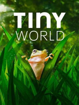 Tiny World