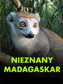 Nieznany Madagaskar