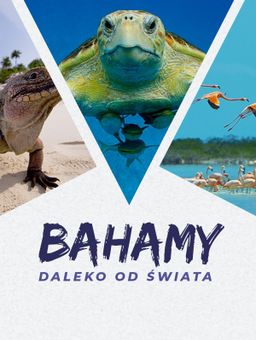 Bahamy. Daleko od świata