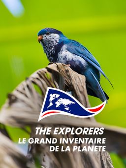The Explorers