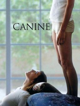 Canine