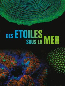 Des étoiles sous la mer