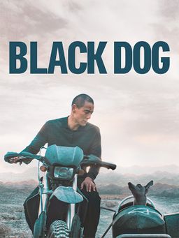 Black Dog