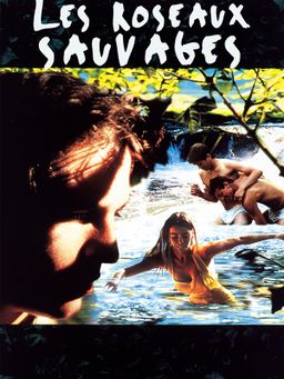 Les roseaux sauvages