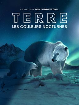Terre : les couleurs nocturnes