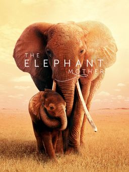 The Elephant Mother