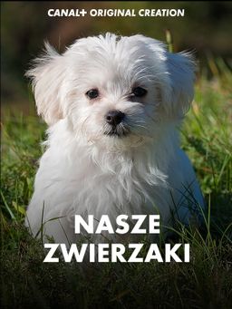 Nasze zwierzaki