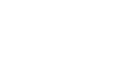 Fabrice du Welz