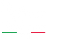 America's Cup C+