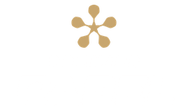 Premier Padel