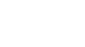 Collection François Damiens