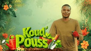 Koud pouss