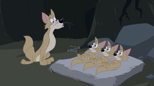 Episode 24