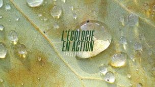 Emission du 01 juin 2024