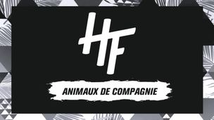 Animaux de compagnie