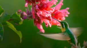 Emission du 10 oct. 2021