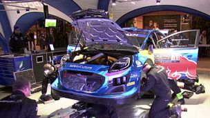 Ingrassia Assistance