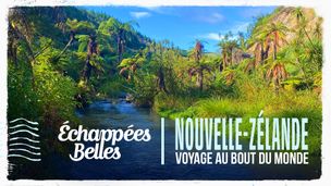Nouvelle-Zélande : voyage au bout du monde