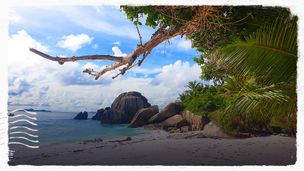 Les Seychelles, précieuse nature