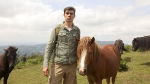 Escapade au Pays basque