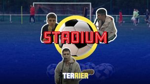 Terrier