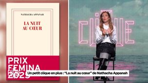 Les Tuche, Evangelion, Terminator 2, et un live de Sébastien Tellier