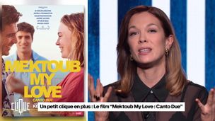 Coups de cœur : "Mektoub My Love", "Tonnerre sous les tropiques", "Chef's Table France"