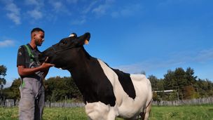 Episode du 17 nov. 2025