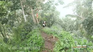 Emission du 14 janv. 2026