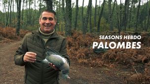 Emission du 02 janv. 2026