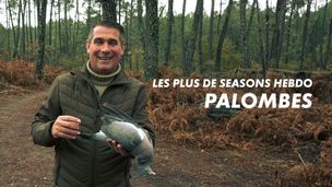 Emission du 02 janv. 2026