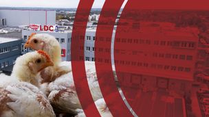 Emission du 15 janv. 2026