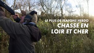 Emission du 23 janv. 2026