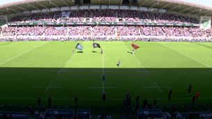 Cinq rugbymen se dévoilent : passions, souvenirs et parcours personnels