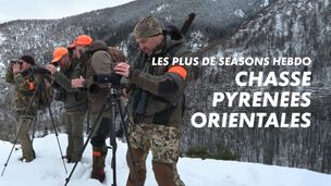 Emission du 29 janv. 2026