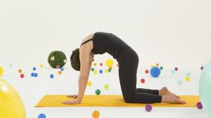 Le chat / respiration griffes de chat