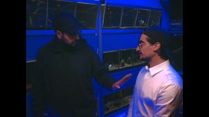 Super mammifère ft Paul Nava