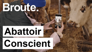Pour une viande écologique et responsable