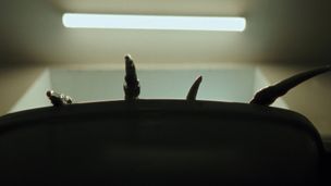 Episode 3