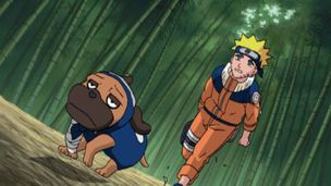 Episode 41