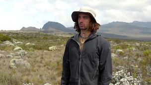 Rêve numéro 8 : Devenir un poisson