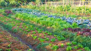 Emission du 05 oct. 2025