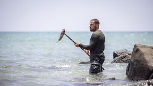 Episode 3