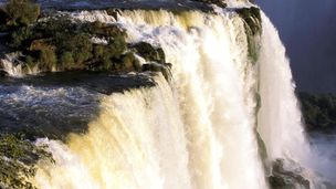 Un jardin pour la planète
