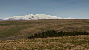 Emission du 10 janv. 2026