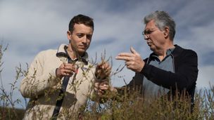 Pollen : bientôt tous allergiques ?