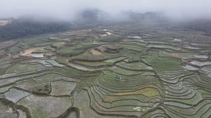 Vietnam, le voyage d'une vie